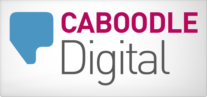 Who are Caboodle Digital web design and marketing